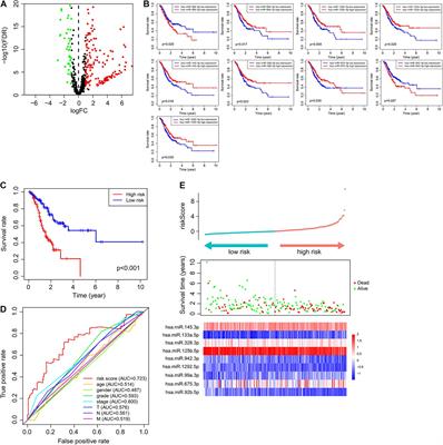 Immune-Related Nine-MicroRNA Signature for Predicting the Prognosis of Gastric Cancer